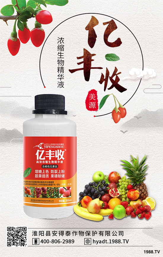 西葫蘆栽培品種有哪些? 西葫蘆的生長(zhǎng)習(xí)性!