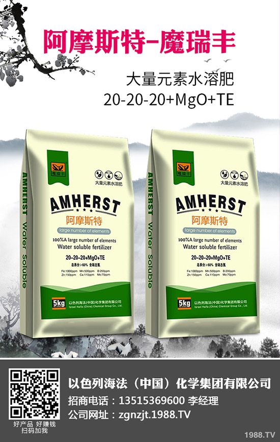 2020年春玉米什么時間播種？春玉米種植技術(shù)