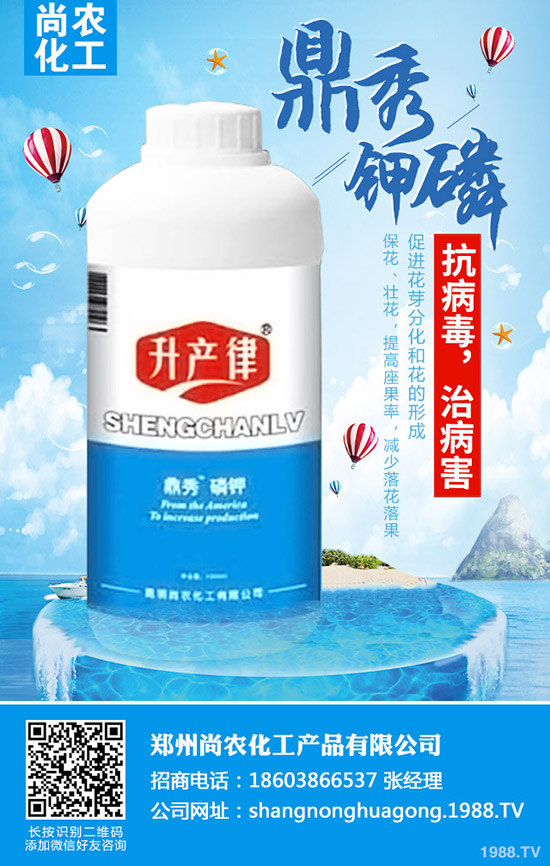     ���{(l��n)���Y(ji��)����ô�k�����{(l��n)���Y(ji��)��ԭ�򼰷��δ�ʩ��