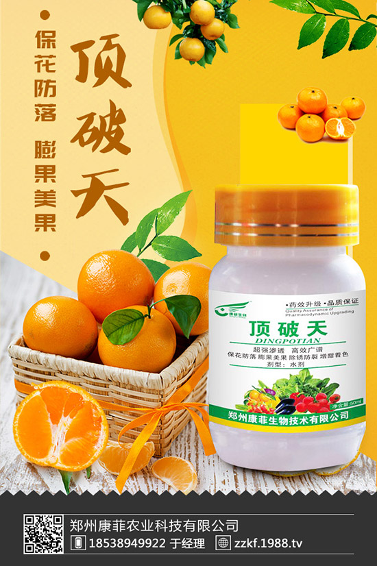 菜豆怎樣施肥才能高產(chǎn)?菜豆需肥特點與施肥技術!