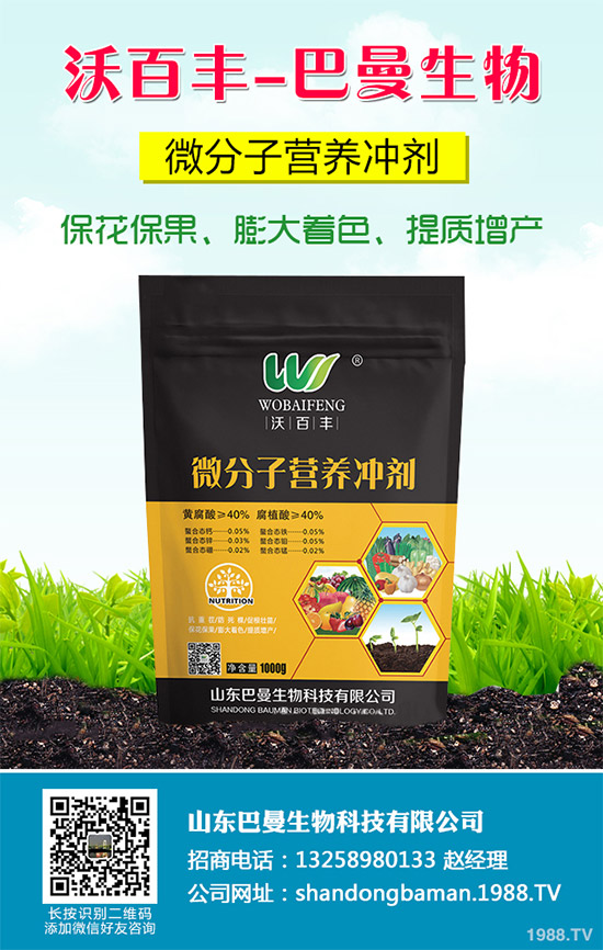 春花生播種的常見誤區(qū)，不少農(nóng)戶犯過錯(cuò)（附解決方案）