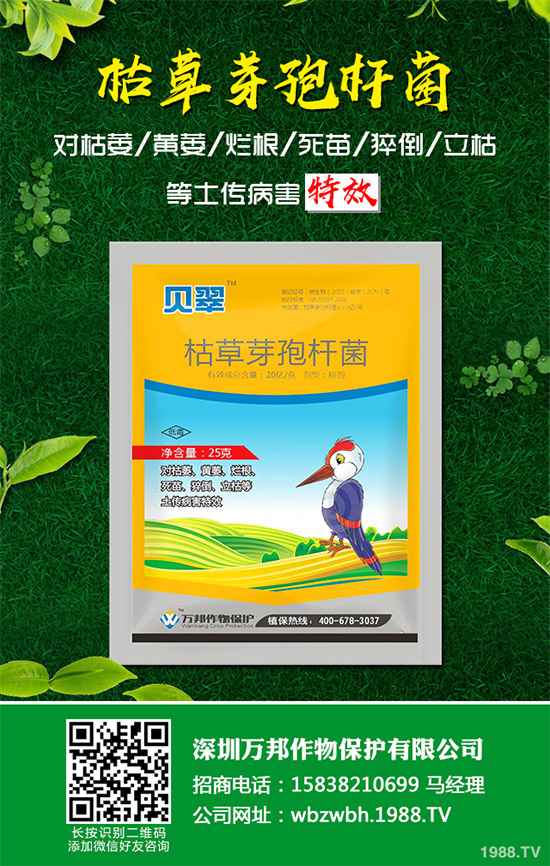 С����ù��ˎ������Ч����������׃����