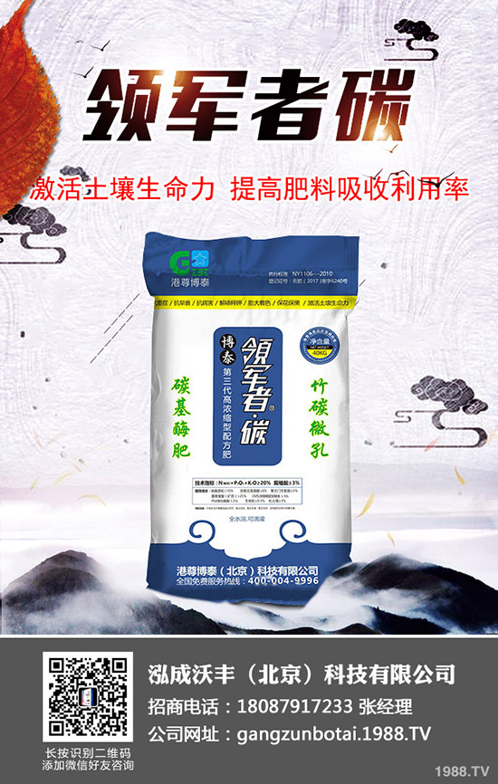 大棚土豆種植更高溫度多少？大棚馬鈴薯如何種植效益高？