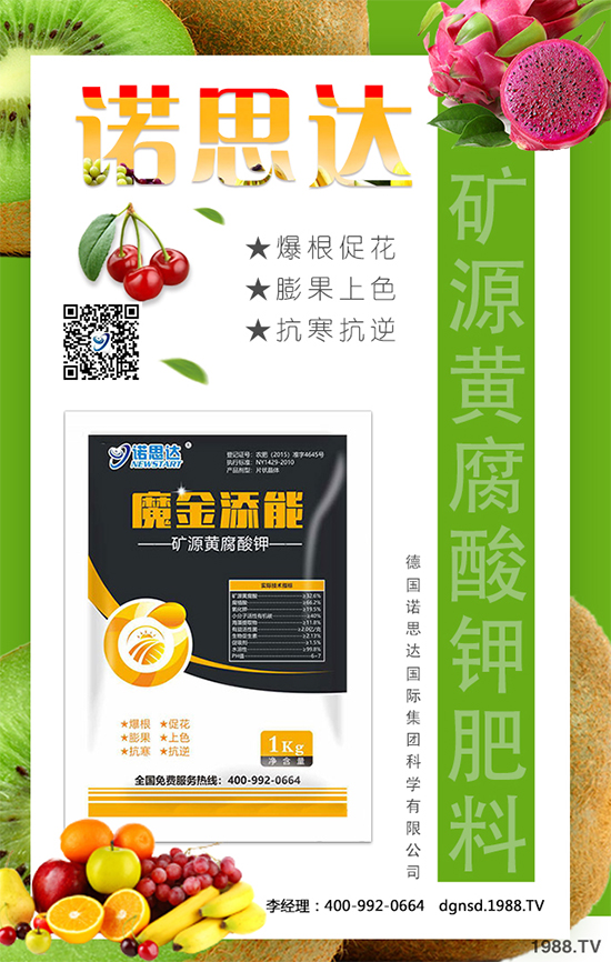 ��(zh��n)�Ժ��������������Z˼�_(d��)�ٴκ��s1988.TV��