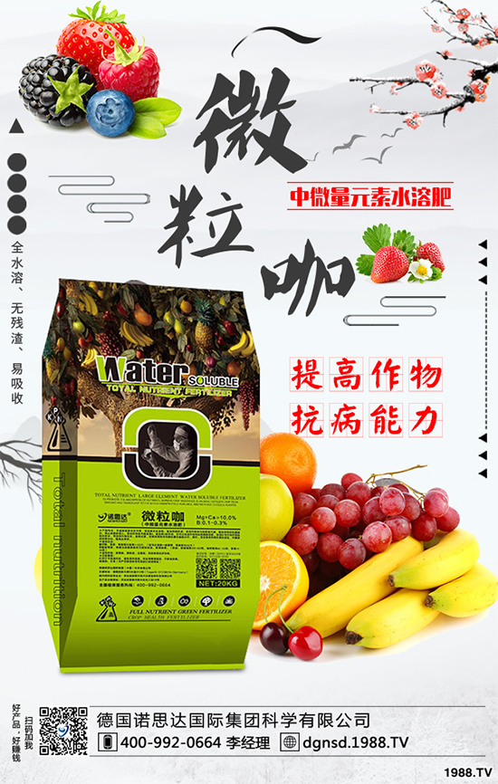 ��(zh��n)�Ժ��������������Z˼�_(d��)�ٴκ��s1988.TV��