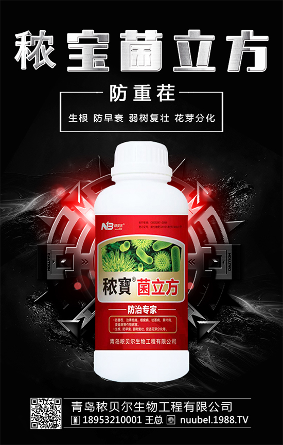 ����ʲô�r(sh��)����Բ��գ����պ�İ�����ô̎����