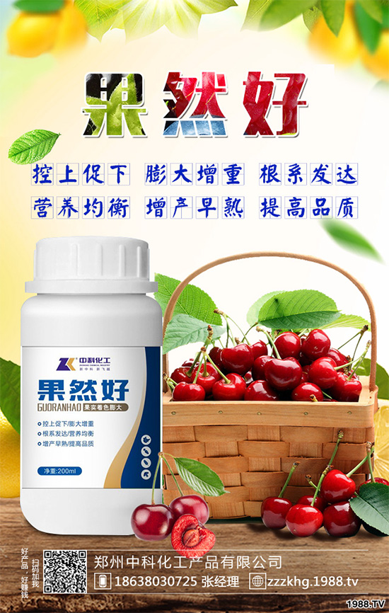 油麥菜有哪些營(yíng)養(yǎng)價(jià)值?常吃油麥菜那些神奇效果?一起看看吧!