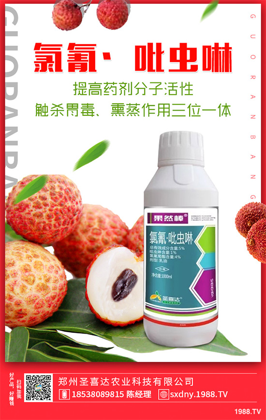 ��������ӛ���������x�y��߀�������������T��Ҫ���(qu��n)�����أ�