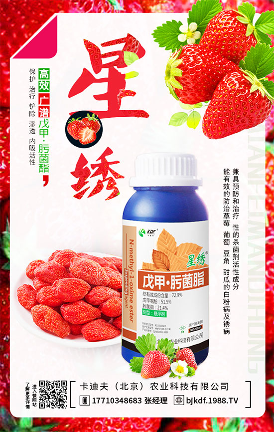 ����Ҫ��Ҫ���������������_��֦�������