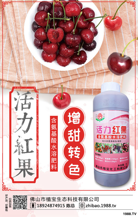 金銀花畝產(chǎn)量是多少？金銀花高產(chǎn)種植技術(shù)