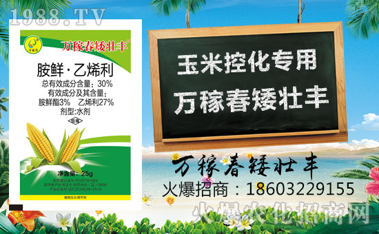 �������f�ڴ��������v���r(n��ng)�����̾W(w��ng)�����F(xi��n)��I(y��)�°l(f��)չ��