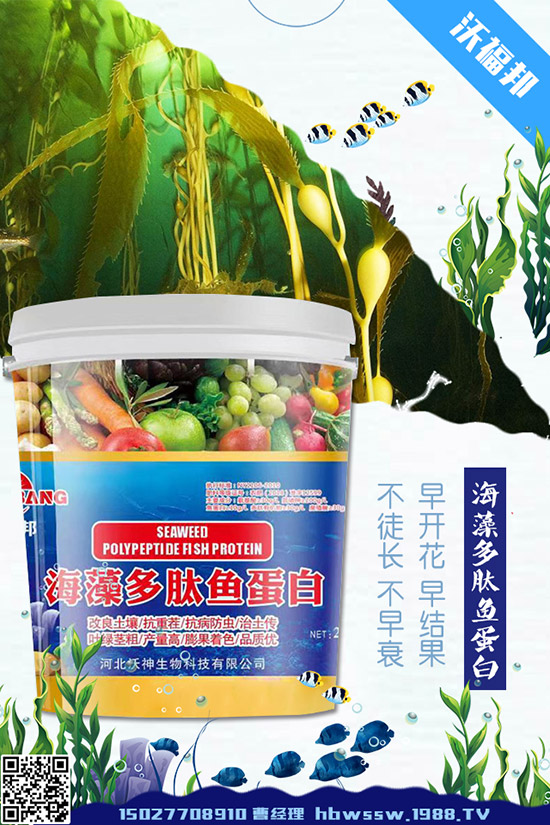 茄子種植需要注意哪些問(wèn)題,茄子的水肥管理要點(diǎn)!