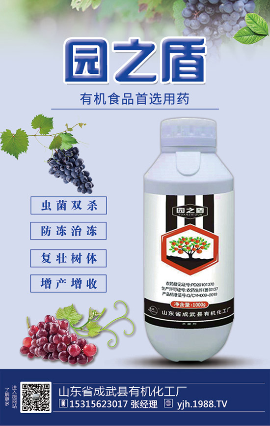 蘆筍如何施肥？蘆筍用什么肥料好？蘆筍需肥特點(diǎn)及注意事項(xiàng)！