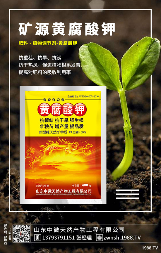 吳茱萸該如何繁殖？吳茱萸的繁殖技術栽培管理