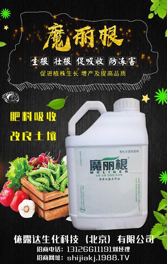 香蔥對環(huán)境的要求有哪些，香蔥的種植季節(jié)及日常管理！