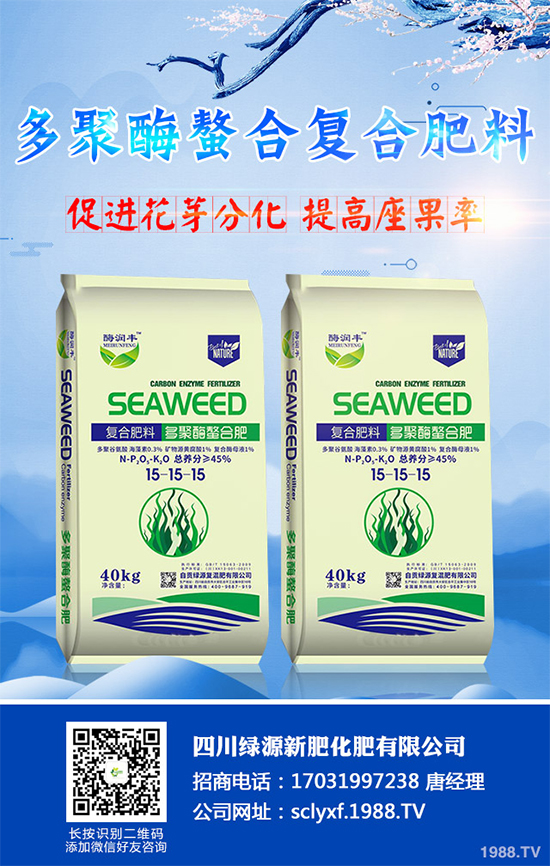 向日葵什么時候播種？該如何管理？高產(chǎn)向日葵高產(chǎn)種植管理技術(shù)