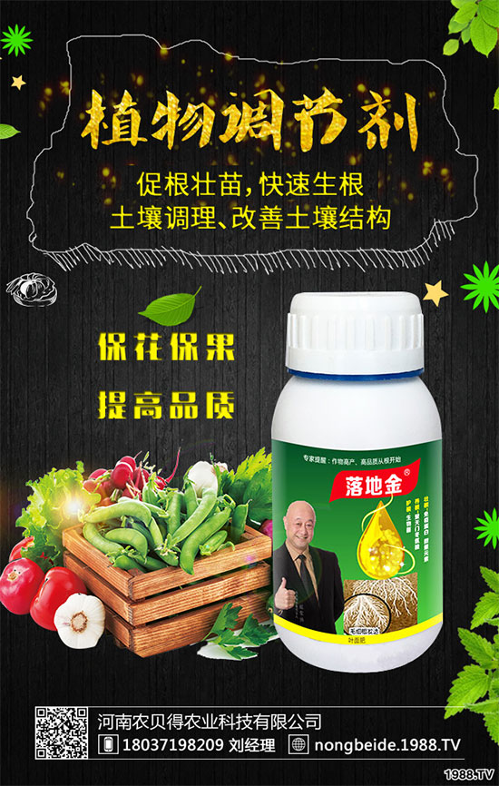 С��������Щʳ�Ãr(ji��)ֵ��С���۵��ΑB(t��i)������