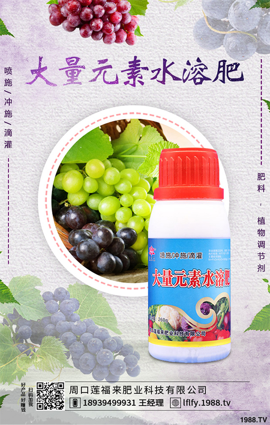 ���v�̶����Xһ�����Nֲǰ���������ˎ�ĵ�Ч�����