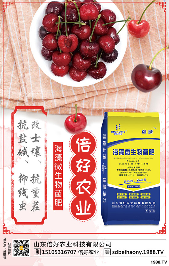 2020-4-30復(fù)合肥行情暫穩(wěn)!今日最新復(fù)合肥主流企業(yè)出廠報(bào)價(jià)一覽!