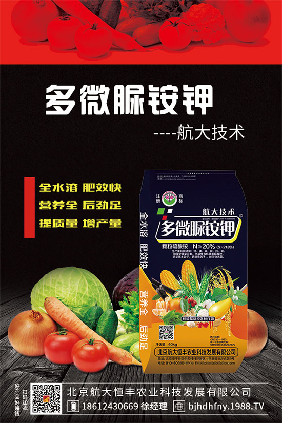 三七種子怎么種植？三七功效與作用有哪些？