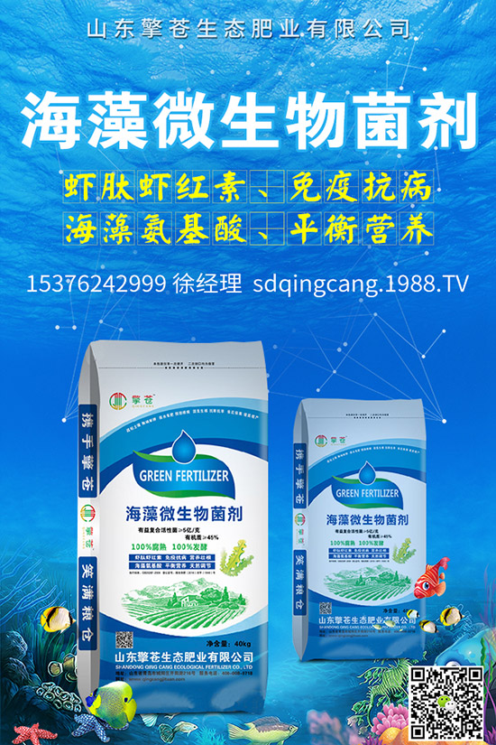     2020-4-8����(n��i)���@����һ�㣡��������������@�r���r��