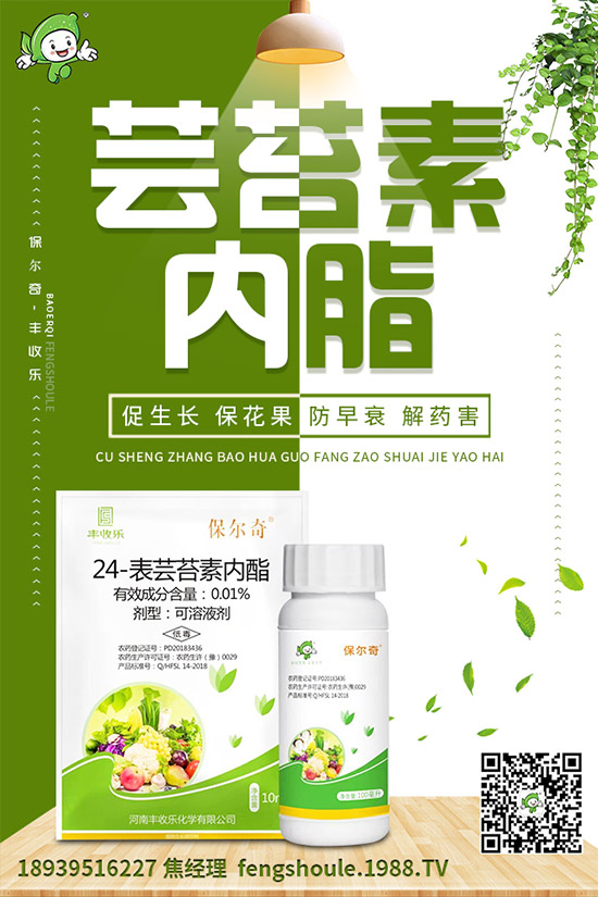 �������ô�޽�����ϼ޽Ӹ߮a�Nֲ���g��