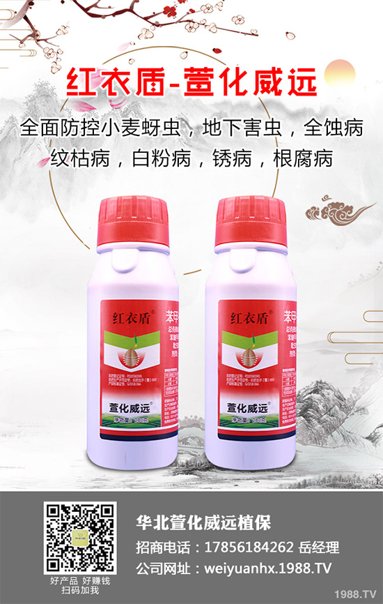     �𻨿��ֽв�ܽ����Ұܽ�صȵ�����һ�N��ˎ����ʳ�Þ�һ�w����������Ѫ���(zh��n)ʹ�ȸ��N��Ч�Ĳݱ�ֲ���Ҫ����ˮ�[��������I(y��ng)�B(y��ng)�r(ji��)ֵҲ�Ƿǳ��S���������҇�(gu��)�ǳ��ܚgӭ����ô���𻨿�ԓ������������𻨿��߮a(ch��n)���༼�g(sh��)����Щ��