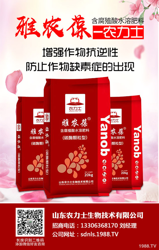     ���؃r������������Εr�ǂ��^��2020-5-14�����������r�Ƕ��٣�