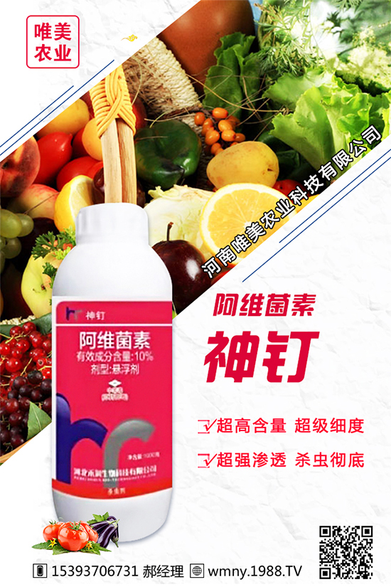 ���[������Ʒ�N����Щ���Nֲ���[���h(hu��n)���l����Ҫ����