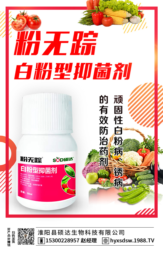 板栗怎么種植？板栗種植技術要點！