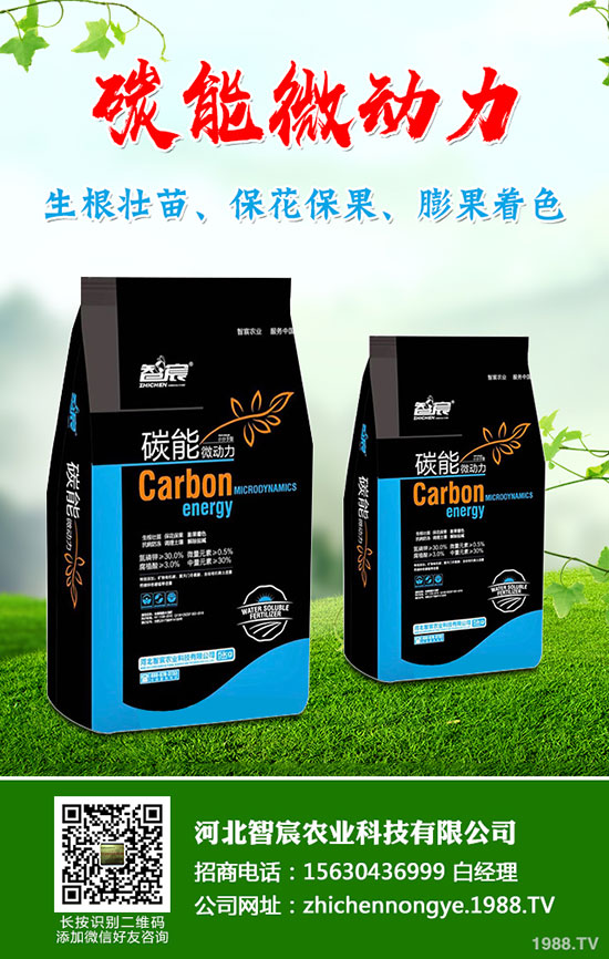 5����(n��i)�׷��Ј�(ch��ng)��ȥ�Ώ�������һ�@���@�r(ji��)�������߄�(sh��)�A(y��)�y(c��)��