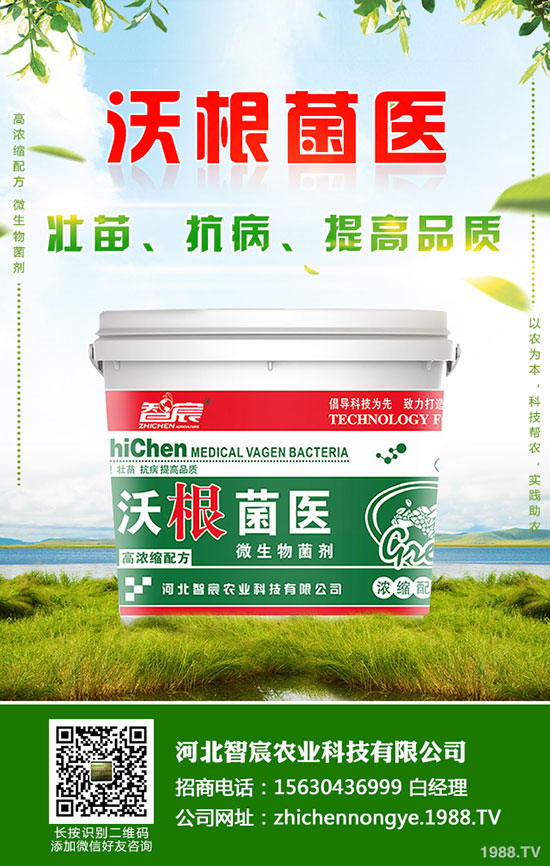 �R������a(ch��n)�������R���ʩ⛷����a(ch��n)Ч����