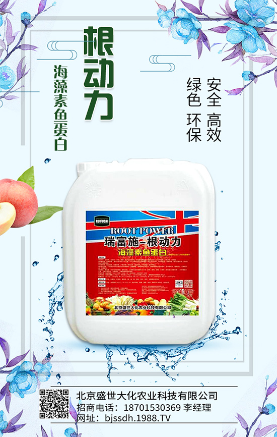 �Ә�(sh��)��ô���綨ֲ��������������M(j��n)�м޽ӣ�