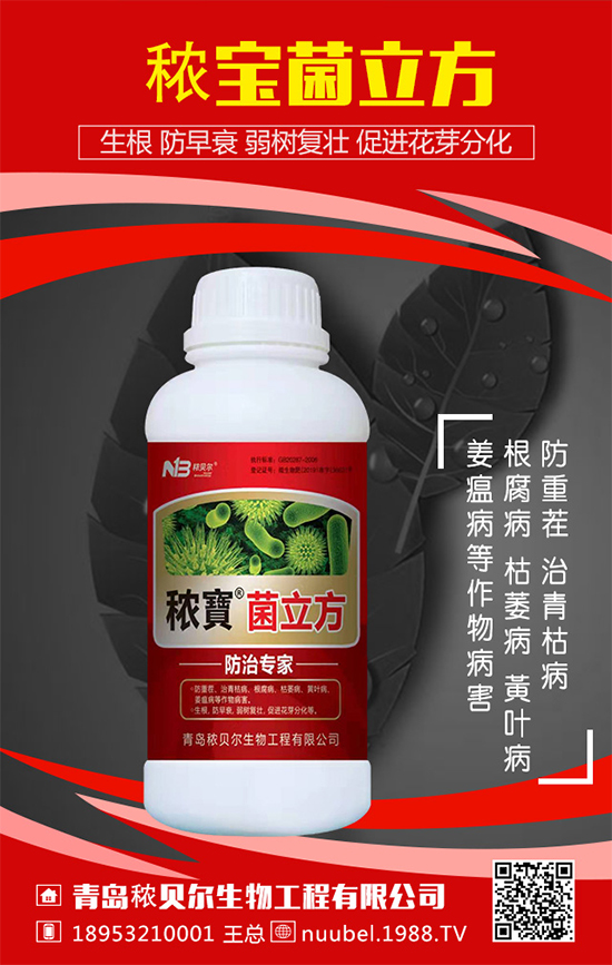 葫蘆怎么播種方法？葫蘆的播種方法及生長過程！