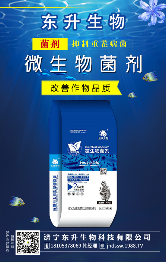 ���ƵĻ��Z(y��)��ʲô��ˮ����Ƶĵ��B(y��ng)�o(h��)������