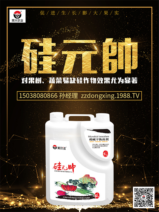 ⛷ʃr(ji��)�������Ո�(b��o)