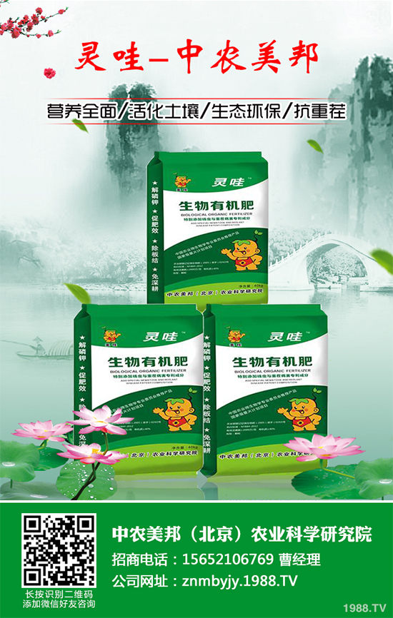 甘蔗常見病害有哪些？該如何預防？甘蔗病害的發(fā)生與防治！