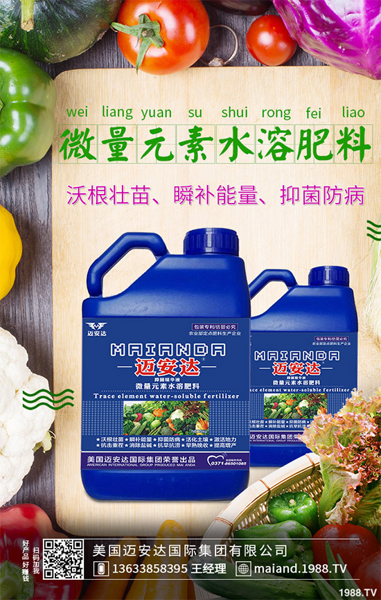 蒲公英育苗措施怎么做？蒲公英生長特點及適宜環(huán)境！