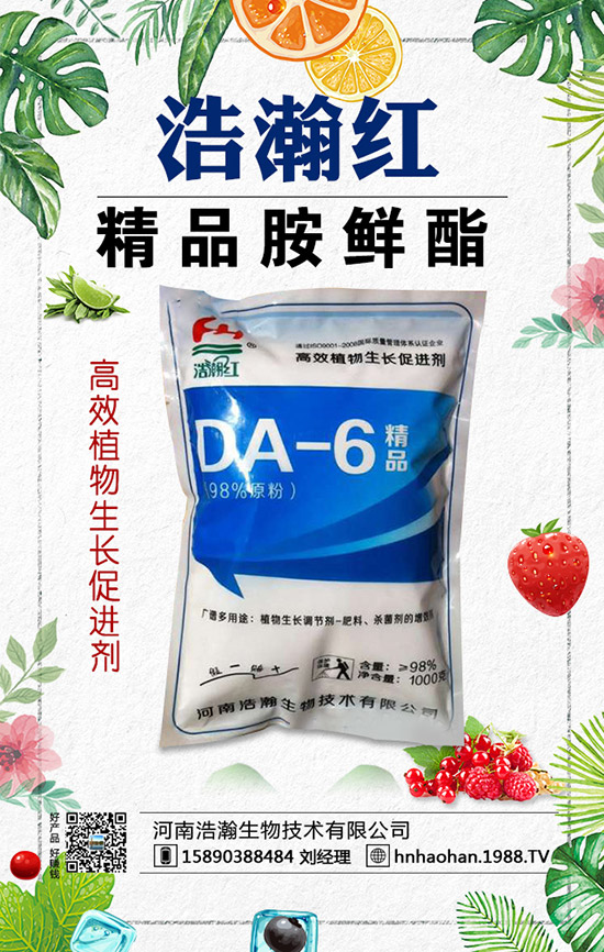 西紅柿摘葉常見誤區(qū)有哪些？西紅柿摘葉技巧！