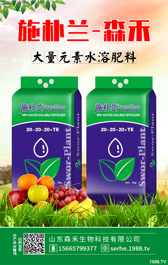 �R���r�񲻔����ߣ��ܷ��^�m(x��)��ͦ��2020���R����Nֲǰ������