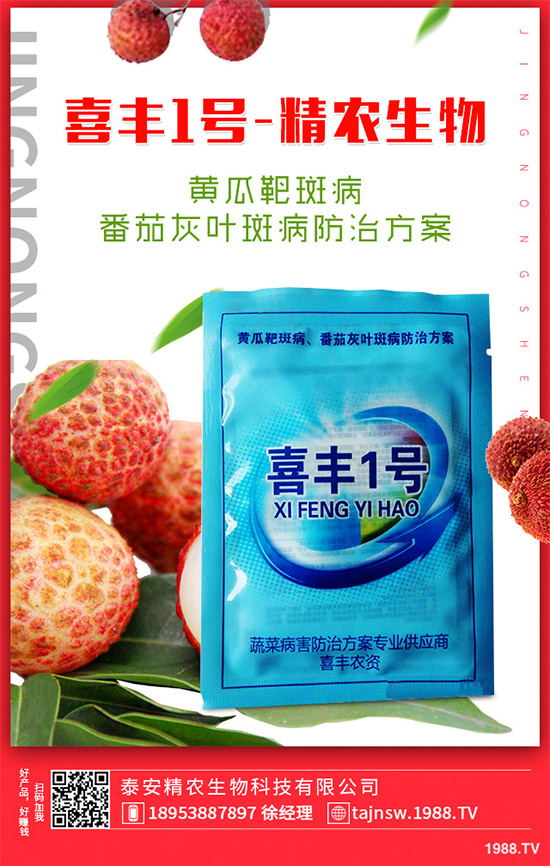 �V���X�ݷNֲ��Ҫ��Щ�l�����V���X��Ǥ������Ҫ�c��