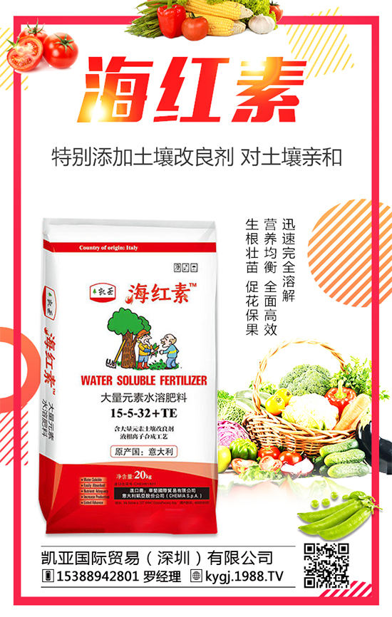 金錢草的產(chǎn)地分布在哪？金錢草種植注意事項(xiàng)！