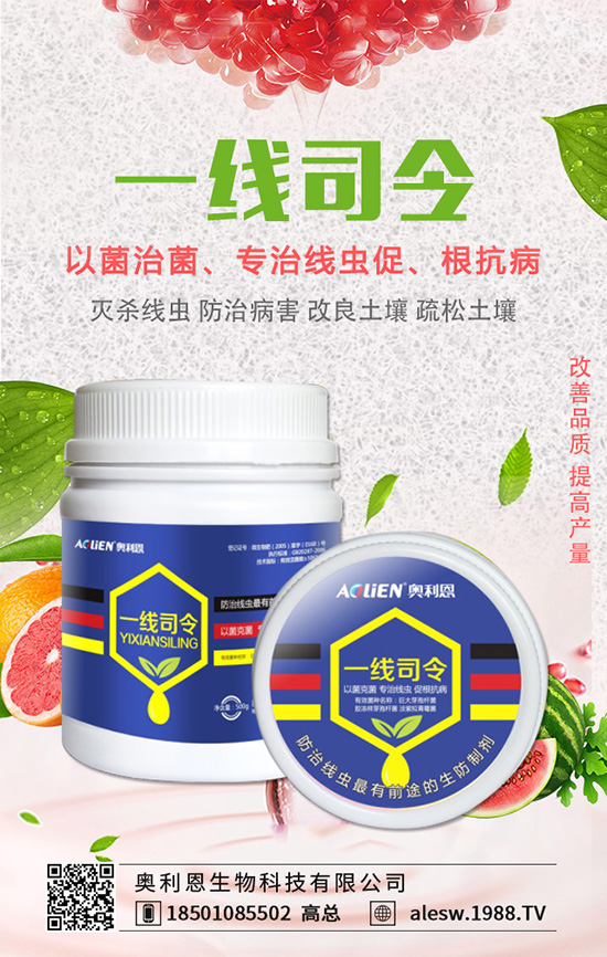 金錢草怎么養(yǎng)？金錢草養(yǎng)殖方法有哪些？