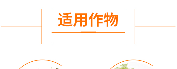 ���@����⛾�-�Z��_09