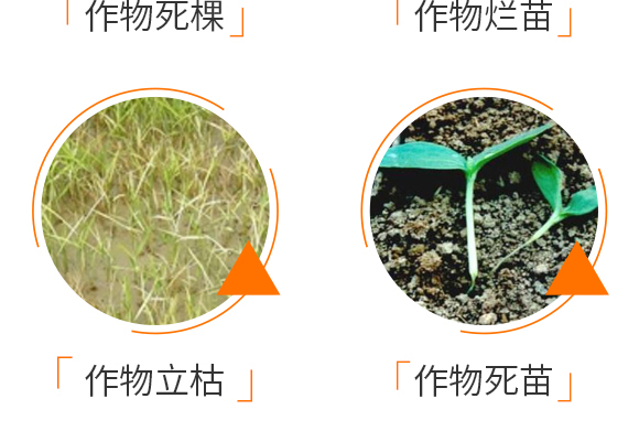 ΢�����������ľù-ֹ���b-�Z��_07