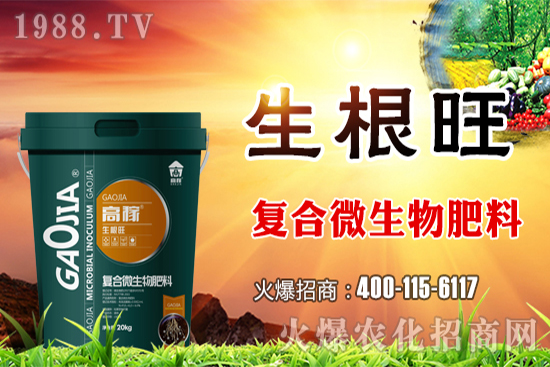 ���؃r(ji��)��