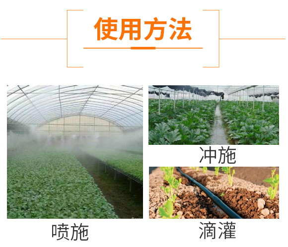 ΢�����������ľù-ֹ���b-�Z��_08