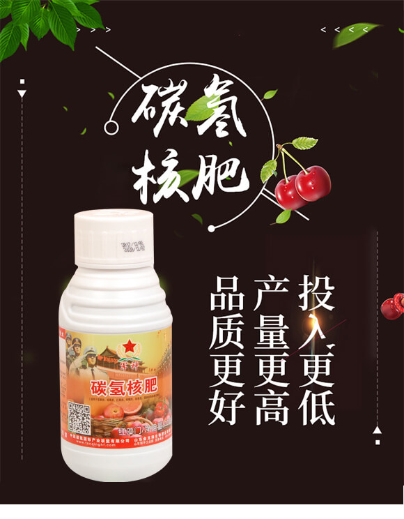 ̼��˷�-�t���T-̼����H_01