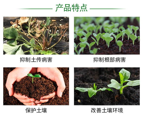 ΢�������-���ſ�-�W�R˹_04