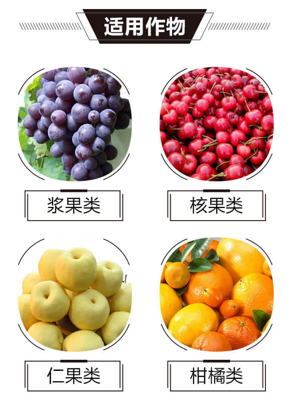 ̼��˷�-�t���T-̼����H_03